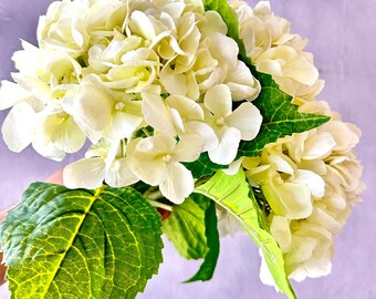 White Real Touch Hydrangea: Realistic Luxury Artificial Flower, 20" Stem