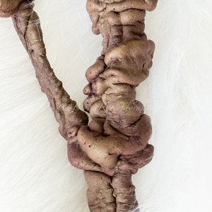 May include: Close-up of a dried, textured floral stem with a deep brown color. The stem has a unique, organic shape with multiple bulbous protrusions. The background is a soft, white, fluffy texture.