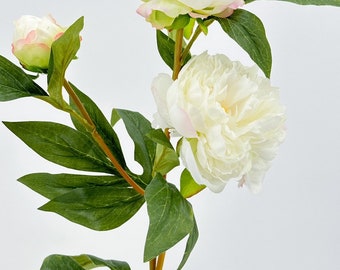 3-Head White Peony Silk Stiel Realistische Luxus-Qualität Künstliche Küche / Hochzeit / Dekoration | Geschenke Französische Blumen Blumen Gemütliches Dekor