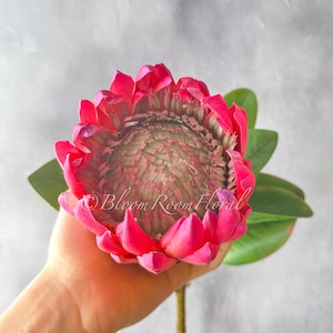 Real Touch King Protea Stem: 30&quot; Artificial Flower for DIY Floral