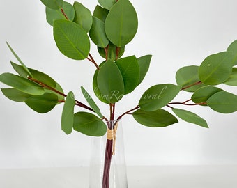 Op de afbeelding: Een bos groene eucalyptusbladeren in een heldere glazen vaas. De stelen zijn bij elkaar gebonden met een bruin touwtje.