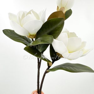 K&ouml;nnte beinhalten: Ein k&uuml;nstlicher Magnolienstiel mit drei gro&szlig;en, cremewei&szlig;en Bl&uuml;ten und einer Knospe. Die dunkelgr&uuml;nen Bl&auml;tter bilden einen Kontrast zu den wei&szlig;en Bl&uuml;ten. Der Stiel ist dunkelbraun. Das Bild ist vor einem wei&szlig;en Hintergrund.