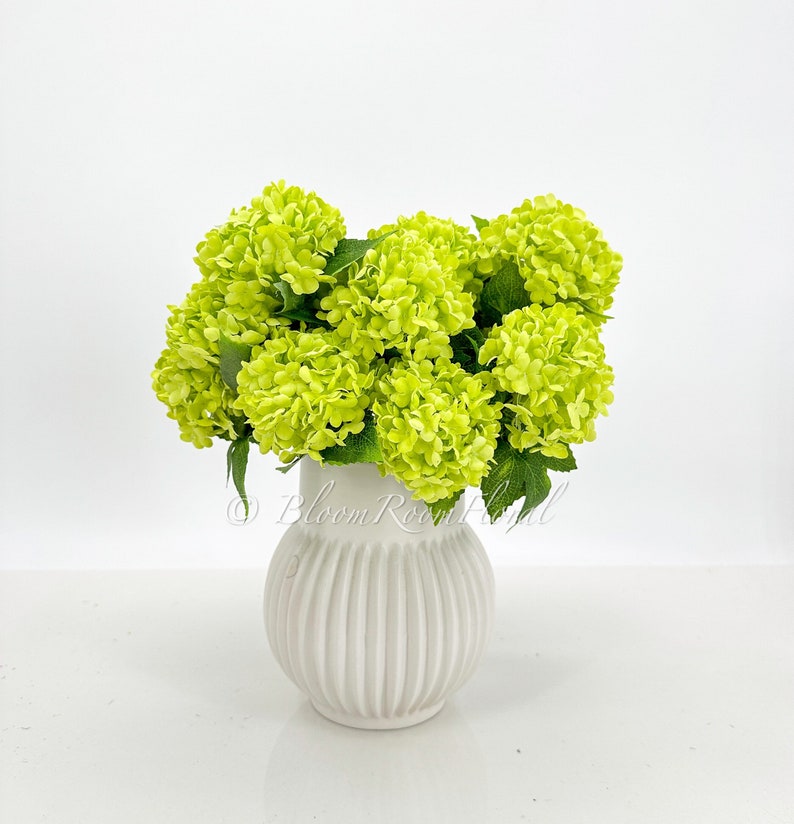 May include: A bouquet of lime green hydrangea flowers in a white ceramic vase with vertical ridges. The vase has a round base and a slightly flared top.