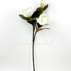 K&ouml;nnte beinhalten: Ein einzelner Stiel k&uuml;nstlicher Magnolienbl&uuml;ten. Der Stiel ist dunkelbraun, mit drei offenen wei&szlig;en Bl&uuml;ten und einer geschlossenen Knospe. Die Bl&auml;tter sind dunkelgr&uuml;n und der Hintergrund ist wei&szlig;. Der Text "Bloom Room Floral" befindet sich unten rechts.