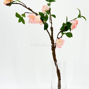 May include: A decorative floral arrangement featuring a branch with pink blossoms and green leaves. The branch is placed in a clear glass cylinder vase. The arrangement is set against a white background.