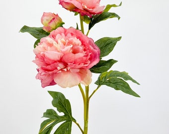 3-köpfige rosa Pfingstrosen-Seide Stem realistische Luxusqualität künstliche Küche/Hochzeit/Wohnkultur | Geschenke Französisch Blumen Blumen Gemütlich Dekor P-021