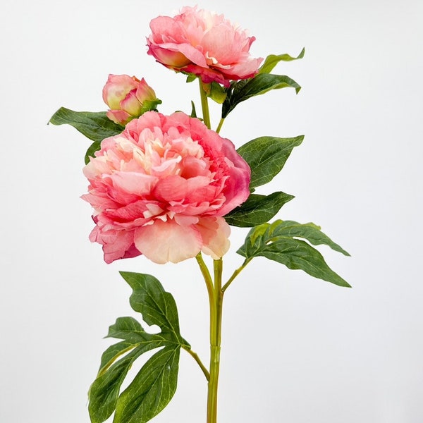 3 têtes de pivoine rose, tige en soie réaliste de qualité de luxe artificielle pour cuisine/mariage/décoration d'intérieur | Décoration confortable Fleurs florales françaises P-021