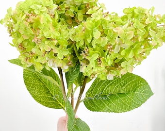 Tallo de hortensia artificial de 89 cm: decoración floral de seda verde claro