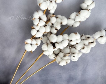 Rama de algodón seco de 76 cm: Decoración rústica natural para bodas