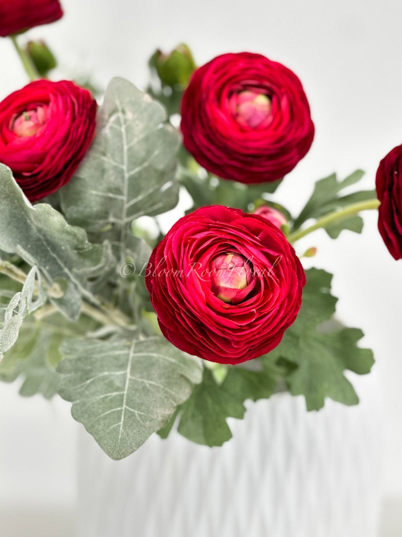 May include: A close-up shot of a bouquet featuring deep red ranunculus flowers, showcasing multiple layers of petals. The flowers are complemented by silvery-green leaves and presented in a white vase. The lighting accentuates the textures and colours of the floral arrangement.