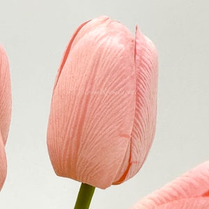 Puede incluir: Primer plano de un capullo de tulip&aacute;n rosa suave con p&eacute;talos texturizados. La flor tiene un tallo verde y una peque&ntilde;a hoja verde. El fondo es de un color claro y neutro. La imagen es de un arreglo floral.