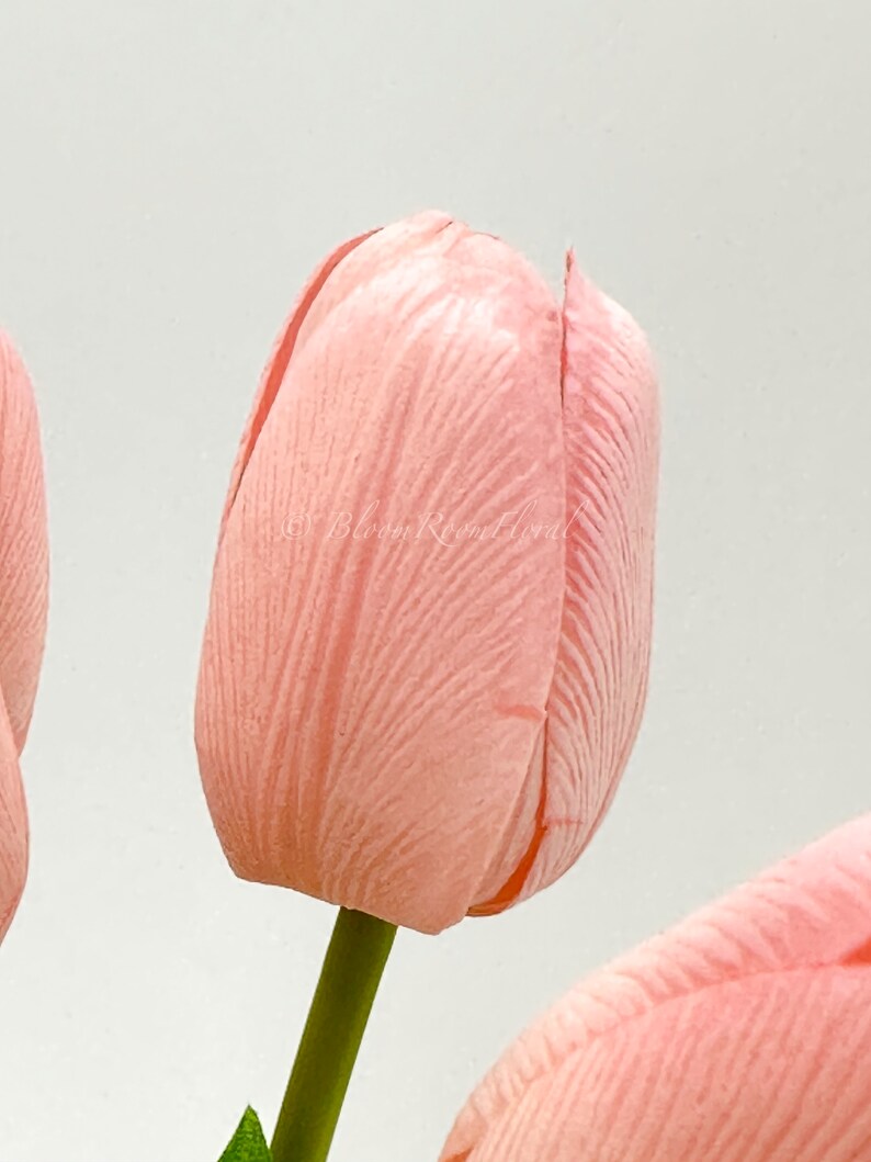 Puede incluir: Primer plano de un capullo de tulip&aacute;n rosa suave con p&eacute;talos texturizados. La flor tiene un tallo verde y una peque&ntilde;a hoja verde. El fondo es de un color claro y neutro. La imagen es de un arreglo floral.