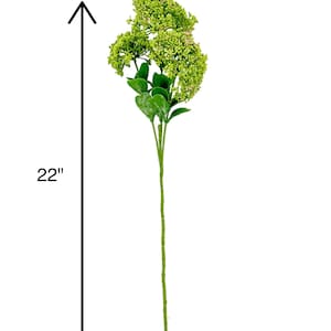 Green Achillea Stem: Realistic Artificial Filler, 22" Floral Decor image 2