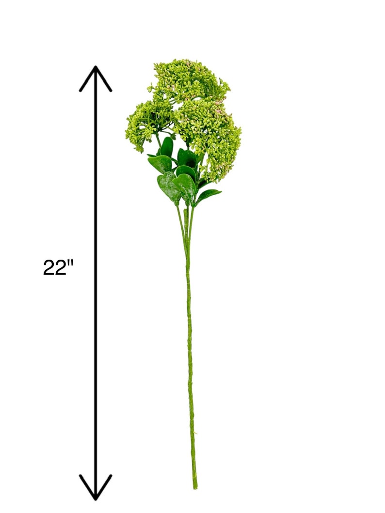 Green Achillea Stem: Realistic Artificial Filler, 22" Floral Decor image 2