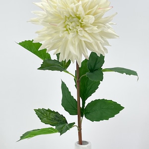 White Real Touch Large Dahlia Extremely Realistic Luxury Quality Artificial Flower Wedding/Home Decoration Gifts Decor Floral D-002 image 7