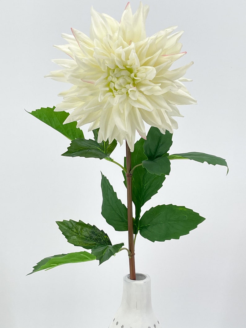 White Real Touch Large Dahlia Extremely Realistic Luxury Quality Artificial Flower Wedding/Home Decoration Gifts Decor Floral D-002 image 7