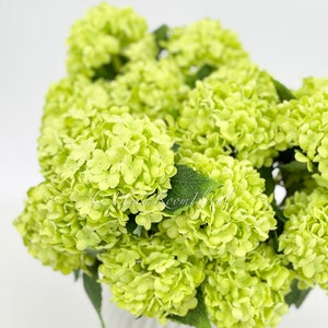 May include: A bouquet of light green hydrangea flowers with green leaves. The flowers are arranged in a vase.