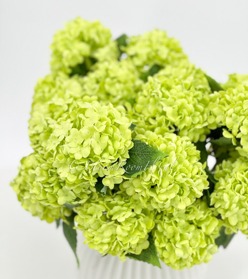 May include: A bouquet of light green hydrangea flowers with green leaves. The flowers are arranged in a vase.