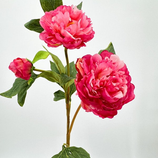 3-Head Hot Pink Peony Silk Stem Realistic Luxury Quality Artificial Kitchen/Wedding/Home Decor | Gift French Floral Flowers Cozy Decor P-017