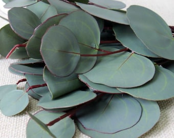 Op de afbeelding: Een bos kunstmatige eucalyptusbladeren met een groene kleur en rode stelen. De bladeren zijn in een tros gerangschikt, waarbij sommige elkaar overlappen.