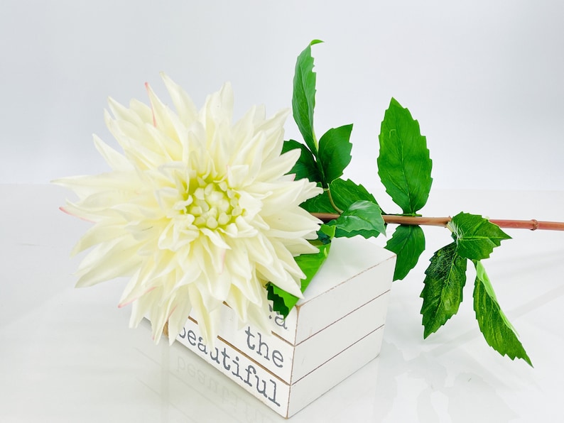 White Real Touch Large Dahlia Extremely Realistic Luxury Quality Artificial Flower Wedding/Home Decoration Gifts Decor Floral D-002 image 1