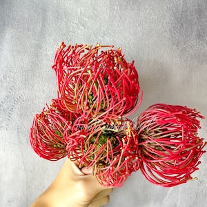 Red Protea Artificial Flower Stem - 12&quot; Tall - DIY Floral Decor
