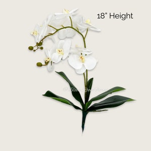 May include: White artificial orchid plant with green leaves. The plant is 18 inches tall.