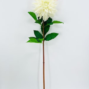 White Real Touch Large Dahlia Extremely Realistic Luxury Quality Artificial Flower Wedding/Home Decoration Gifts Decor Floral D-002 White