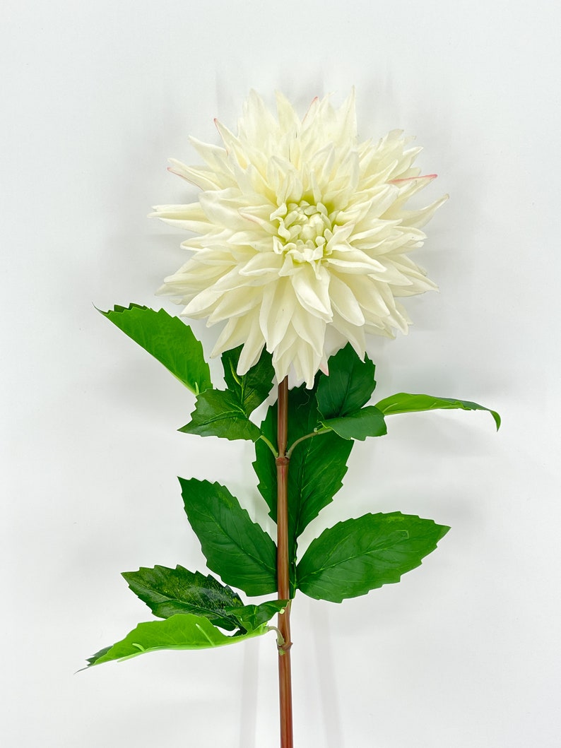 White Real Touch Large Dahlia Extremely Realistic Luxury Quality Artificial Flower Wedding/Home Decoration Gifts Decor Floral D-002 image 6