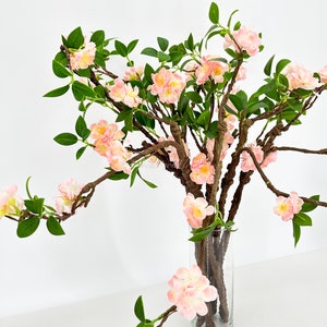 May include: A floral arrangement featuring branches with pink and yellow blossoms and green leaves. The branches are displayed in a clear glass vase, creating a natural and elegant aesthetic. The flowers have a delicate appearance.