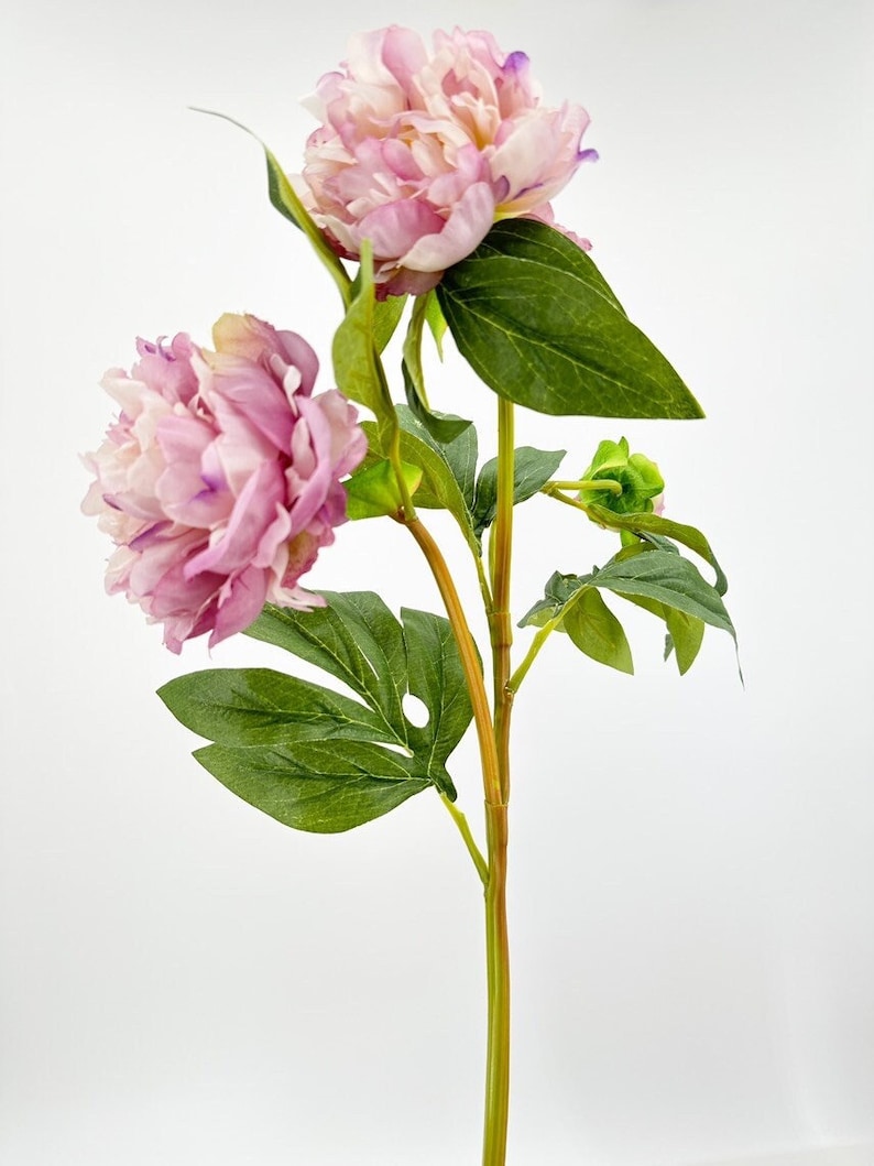 Lila pion sidenstjälk: Realistisk fransk blomsterdekor bild 2