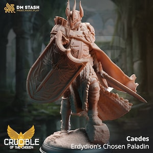 Enlightened Paladin of Justice - Caedes, by DM Stash. Fearless champion of the gods for your TTRPGs. 32mm and 75mm scale. ABS Resin.