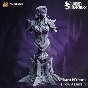 Puede incluir: Una miniatura gris de un Asesino Drow, llamado Vakara N'thara, impresa en 3D, que lleva una armadura intrincada y una base con temática de araña. La miniatura está diseñada para juegos de rol de mesa.