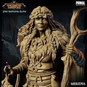 Druid - Meridya | June 2024 Uncharted Kingdoms | Sculpted by Primal Collectibles | Custom 3D Printed Miniature. ABS Like Resin.