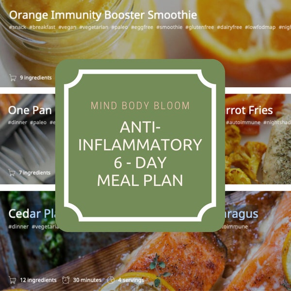6 day Anti Inflammatory Meal Plan with Recipes and Shopping List  - Dairy Free, Gluten Free, Sugar Free
