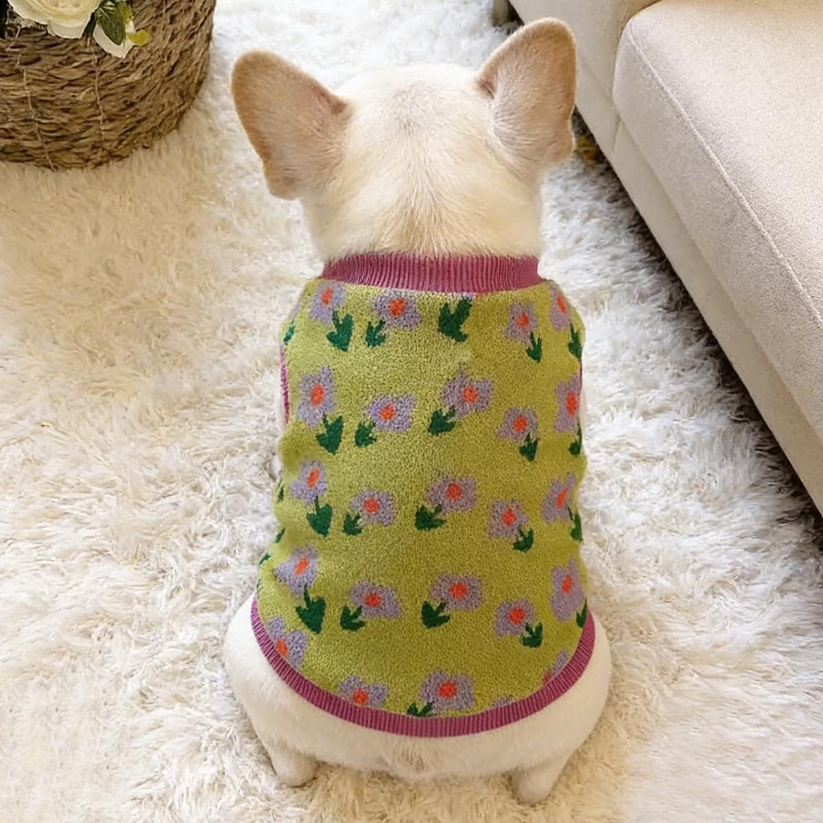 dog sweater with harness hole kutkutstyle-t-shirt-kutkut-dog-hoodie-british-style-plaid-pet-sweaters -with-hat-fleece-cold-weather-dog-hoodies-with-pocket-windproof-pullover-pet-winter-
