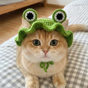 May include: A golden-colored cat wearing a handmade green crochet frog hat with large, round eyes. The hat has two eye-shaped details and a ruffled brim. A green crochet bow is around the cat's neck. The cat is lying on a checkered surface.