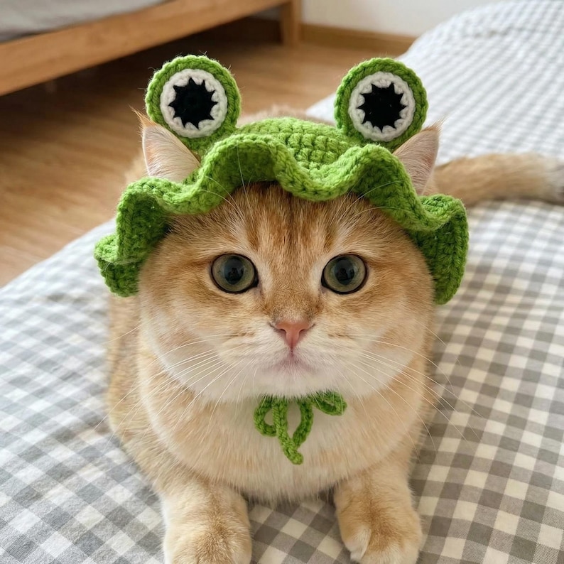 Handmade Knit Frog Cat Hat, Crochet Pet Headpiece, Cute Kitten Beanie ...