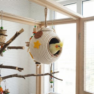 May include: A cream-colored, spherical birdhouse made of woven rope, with a round opening and a yellow star accent. A yellow cockatiel is inside the birdhouse, peeking out. The birdhouse hangs from a wooden cage, with other bird toys visible.