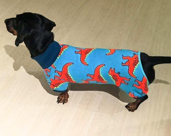 Personalisierter Dinosaurier Hunde Hoodie - Benutzerdefinierter Name Haustier Hoodie - Kleidung für kleine Hunde - Niedliches Haustierbekleidung