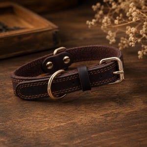 May include: A dark brown leather collar featuring gold-toned metal hardware, including a buckle, a D-ring for leash attachment, and two rivets. The collar is constructed with visible contrast stitching along the edges and a leather keeper loop.