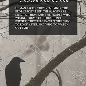 Six of Crows Ketterdam poster digital download