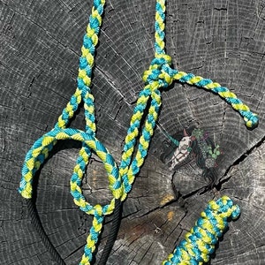 Custom Braided Rope Nose Muletape Halter & Lead