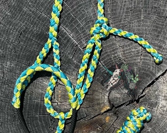 Könnte beinhalten: Ein geflochtenes Seilhalfter in grün und blau. Das Halfter besteht aus zwei miteinander geflochtenen Seilstücken. Das Halfter liegt auf einer Holzoberfläche.