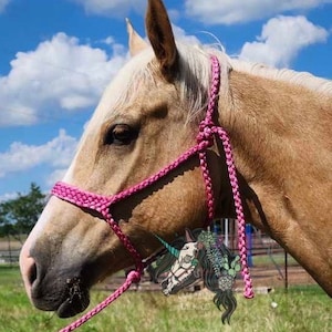 Custom Flat Noseband Muletape Halter & Lead
