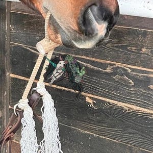 Custom WAR BRIDLE w/ Antler Bone Slide