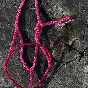 Custom Lariat Noseband Muletape Halter & Lead