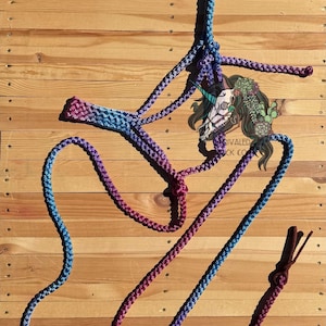 Custom Ombré Flat Noseband Muletape Halter & Lead