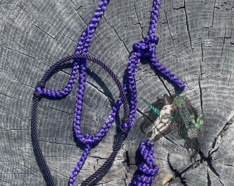 Könnte beinhalten: Ein violettes geflochtenes Seilhalfter mit einem Metallschnappverschluss. Das Halfter ist aufgerollt und auf einer Holzoberfläche abgelegt.