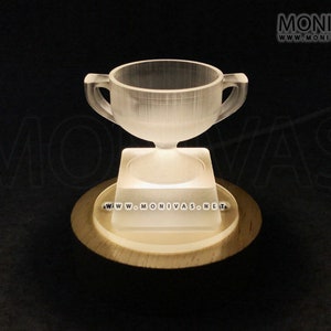 Mini Trophy Light USB Tischlampe Desktop LED Display Geburtstagsgeschenk